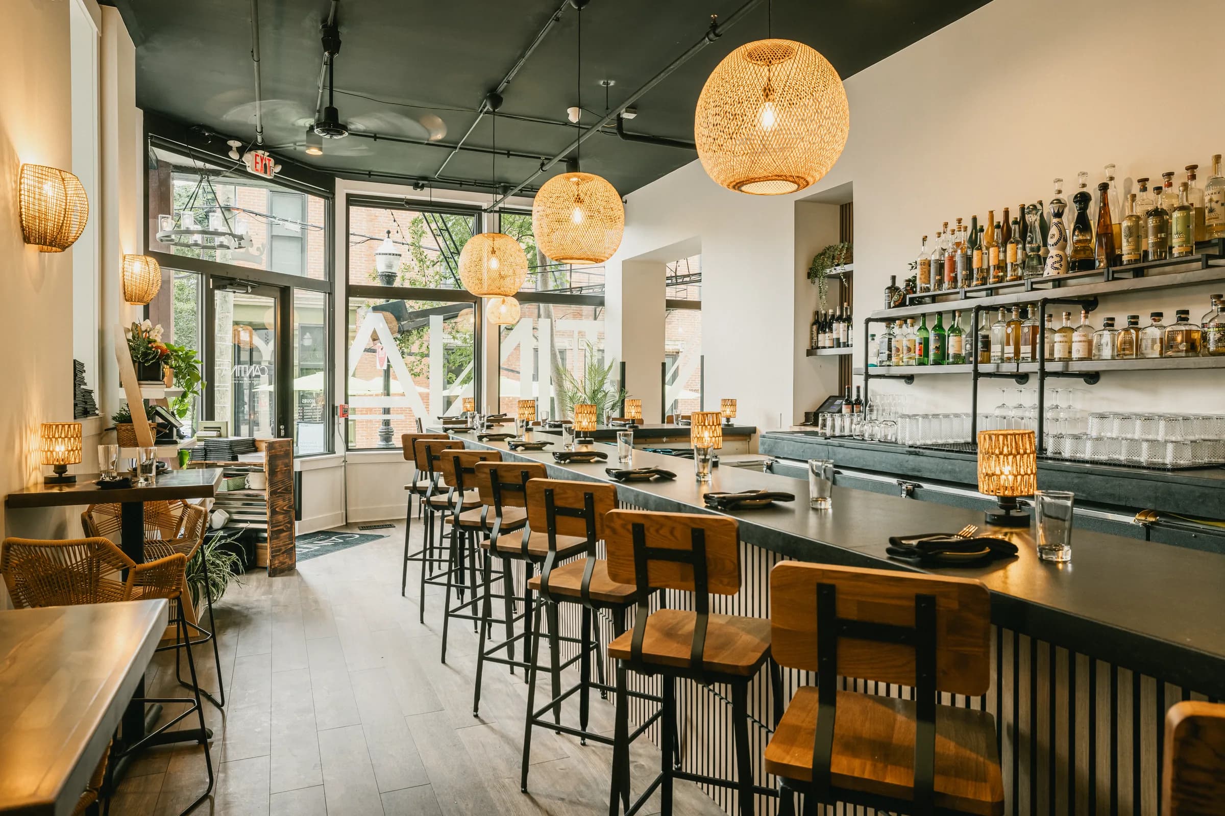 The dining room at Cantina, the bar running the length of the room under woven pendant lights